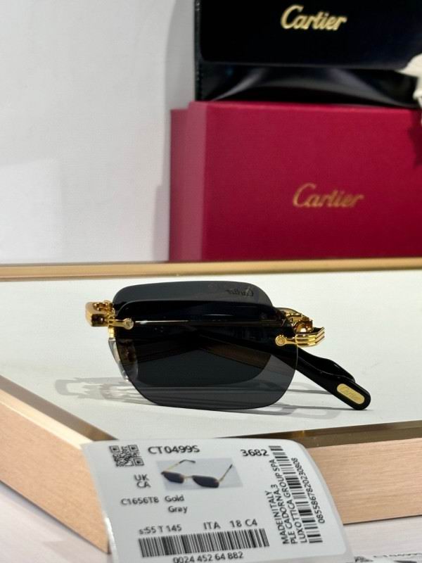 Cartier Glasses 08smh177 (6)