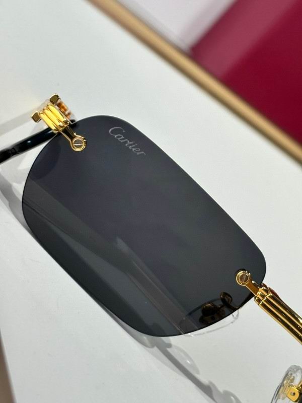 Cartier Glasses 08smh177 (8)