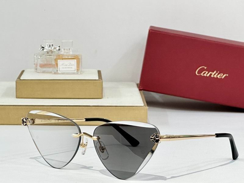 Cartier Glasses 08smh178 (1)