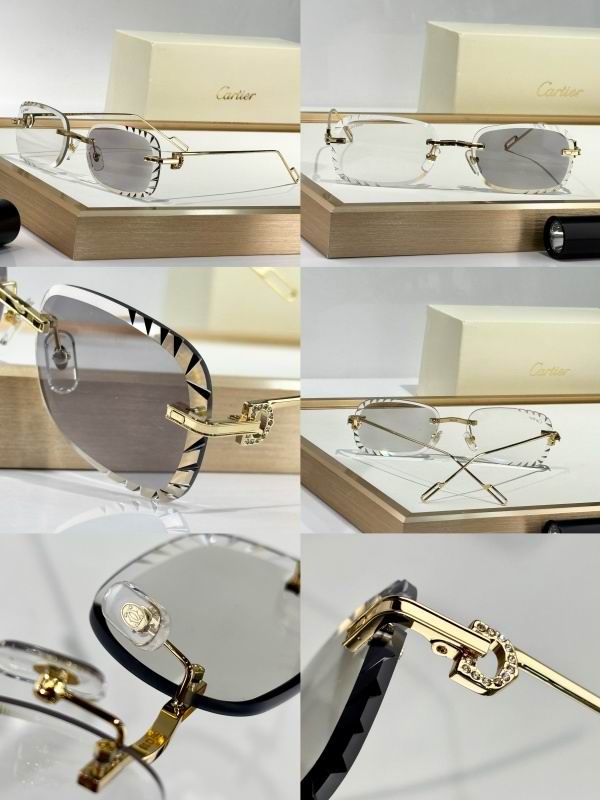 Cartier Glasses 08smh178 (10)