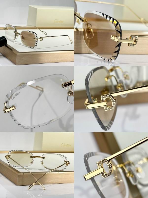 Cartier Glasses 08smh178 (11)