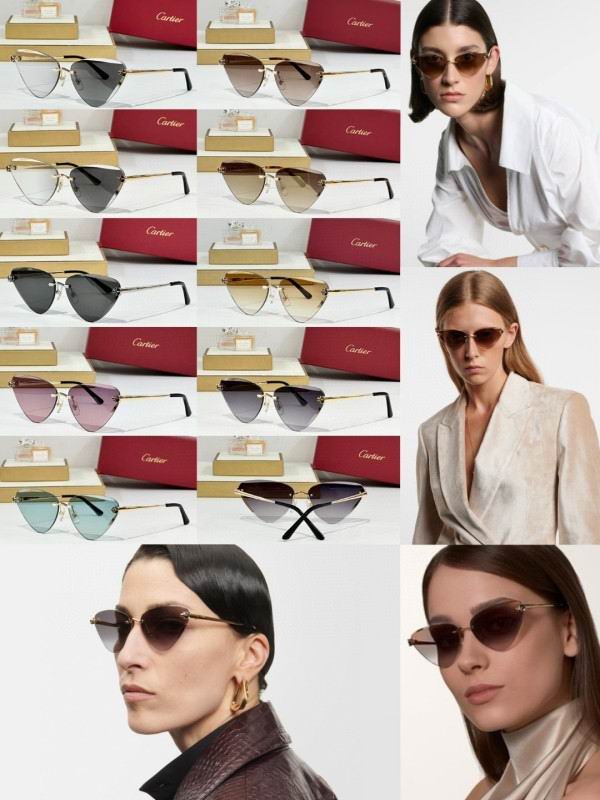 Cartier Glasses 08smh178 (13)