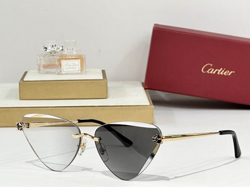 Cartier Glasses 08smh178 (2)