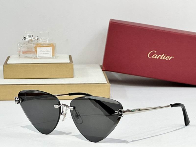 Cartier Glasses 08smh178 (3)