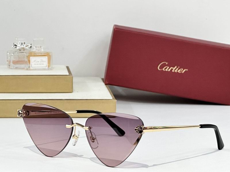 Cartier Glasses 08smh178 (4)