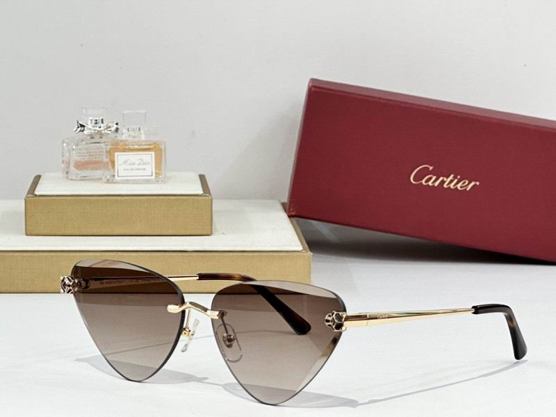 Cartier Glasses 08smh178 (6)