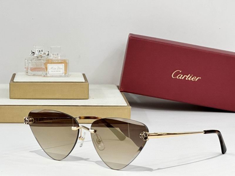 Cartier Glasses 08smh178 (7)