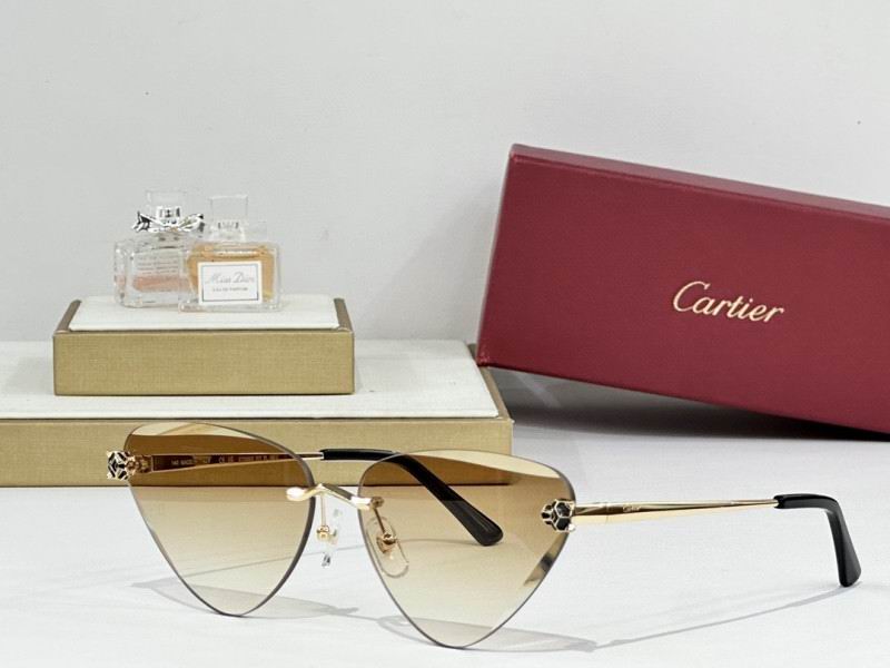 Cartier Glasses 08smh178 (8)