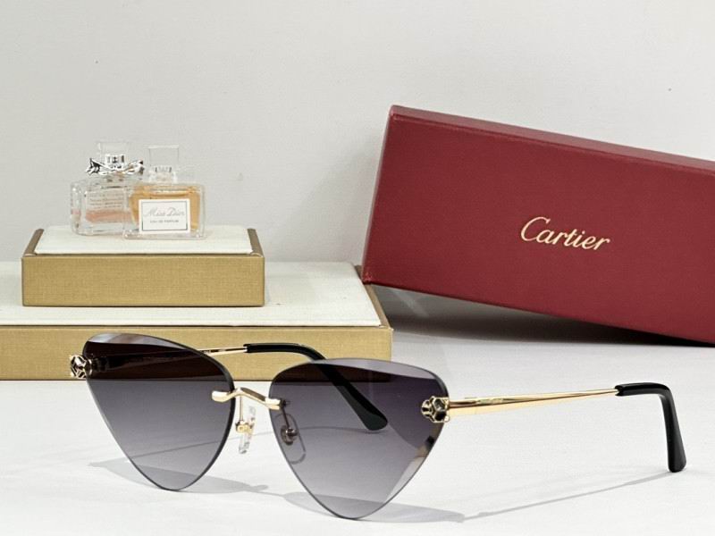 Cartier Glasses 08smh178 (9)
