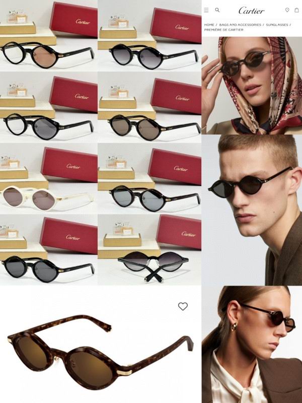 Cartier Glasses 08smh179 (10)