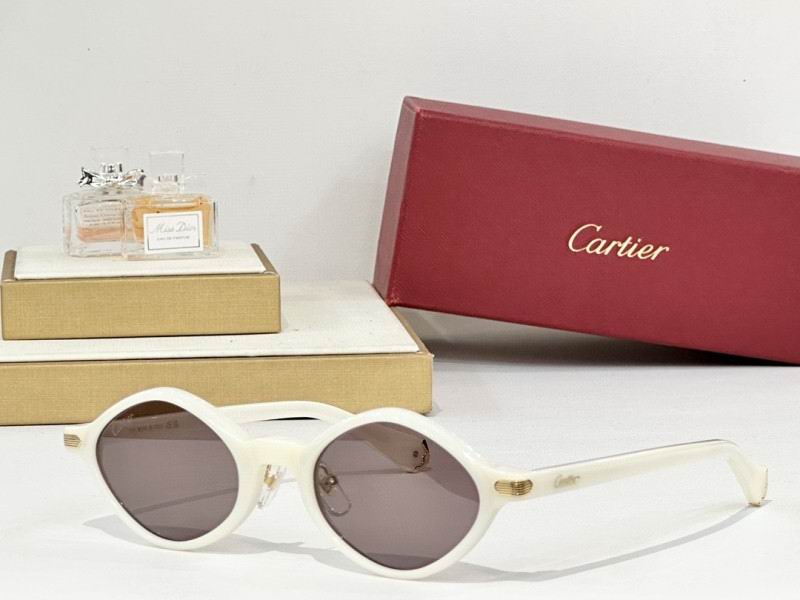 Cartier Glasses 08smh179 (3)