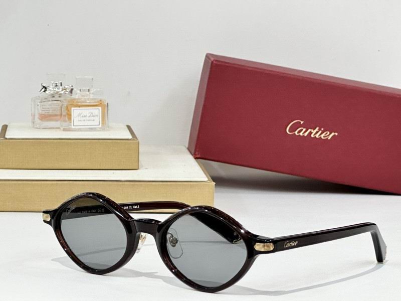 Cartier Glasses 08smh179 (5)