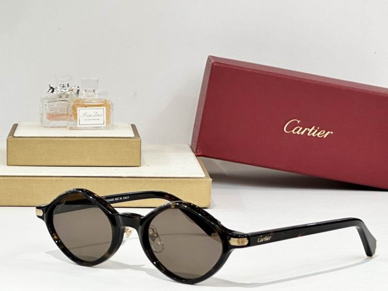 Cartier Glasses 08smh179 (6)