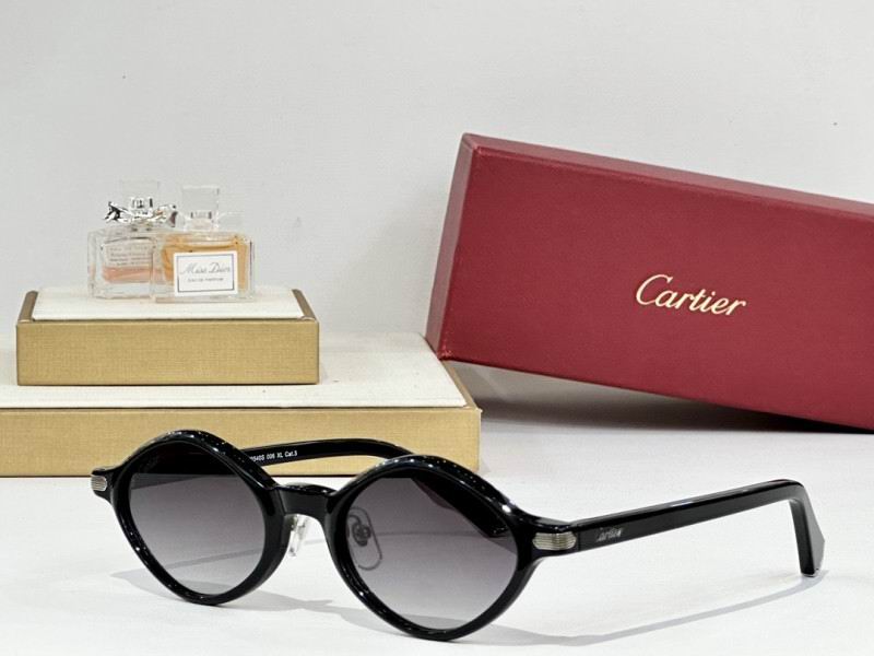 Cartier Glasses 08smh179 (7)