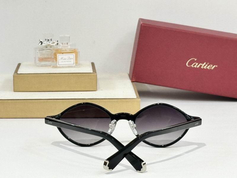 Cartier Glasses 08smh179 (8)