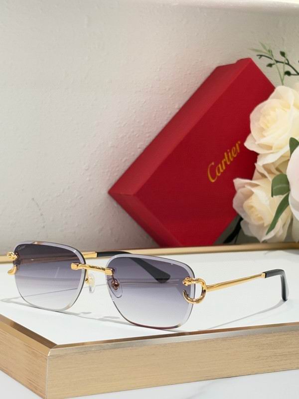 Cartier Glasses 08smh180 (1)