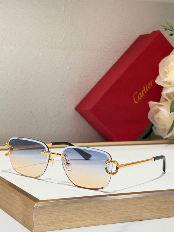 Cartier Glasses 08smh180 (2)