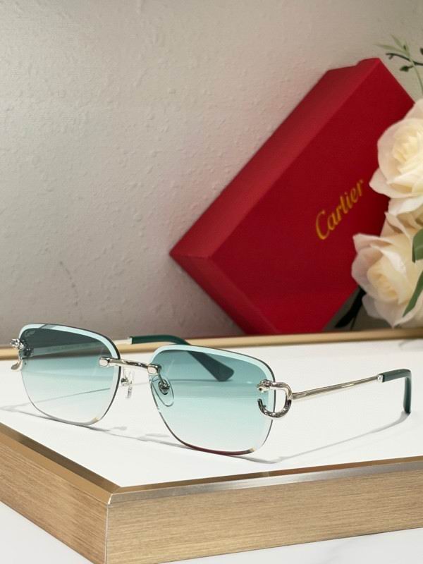 Cartier Glasses 08smh180 (3)