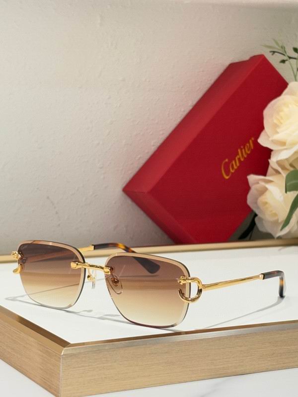 Cartier Glasses 08smh180 (4)