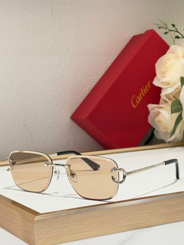 Cartier Glasses 08smh180 (5)