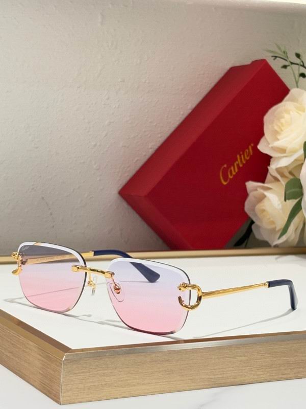 Cartier Glasses 08smh180 (6)