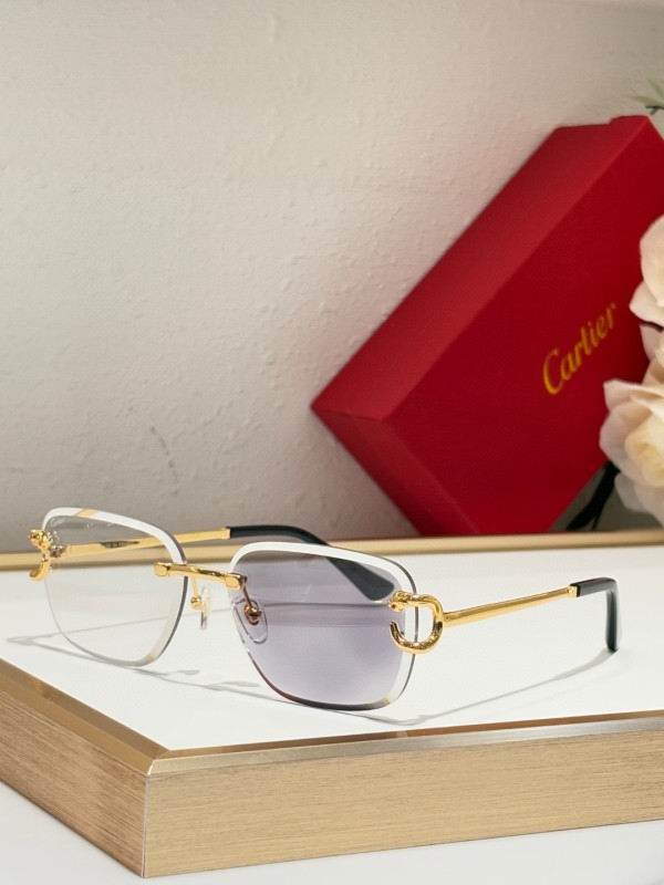 Cartier Glasses 08smh180 (7)