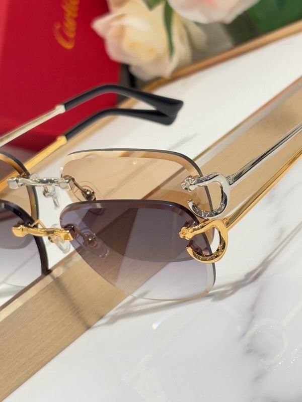 Cartier Glasses 08smh180 (9)