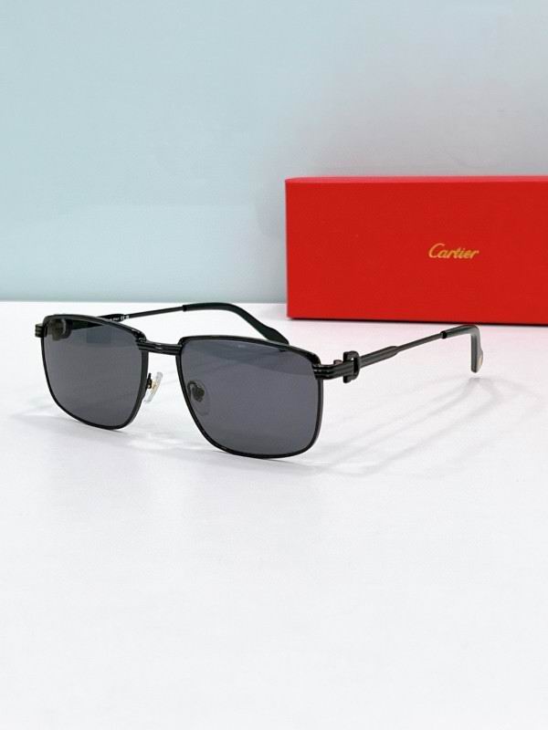 Cartier Glasses 08smh181 (5)
