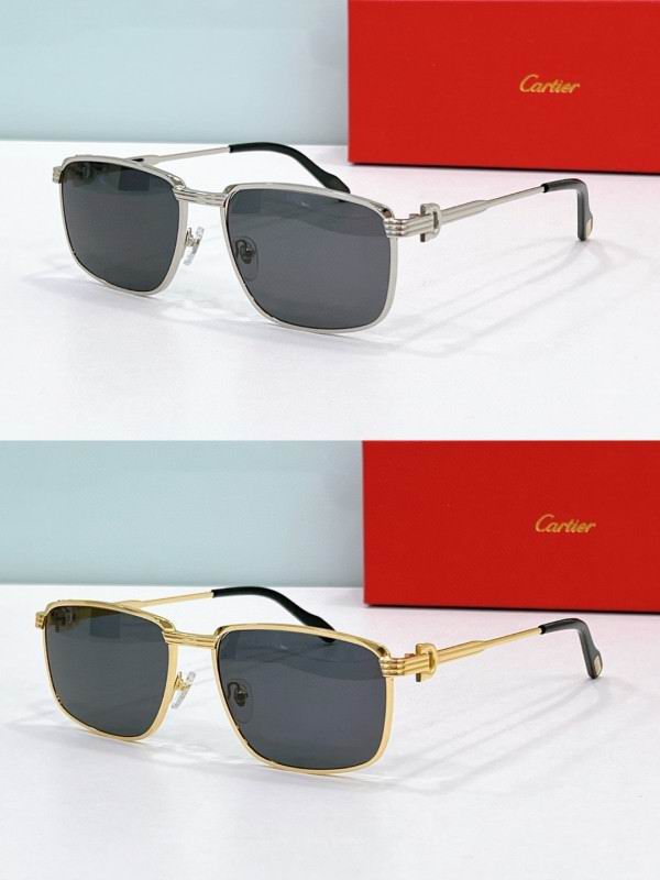 Cartier Glasses 08smh181 (9)
