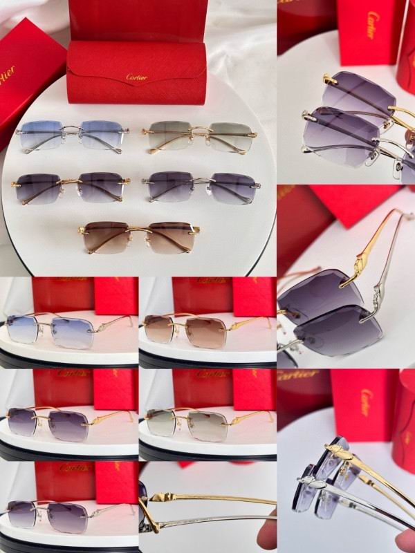 Cartier Glasses 08smh182 (10)