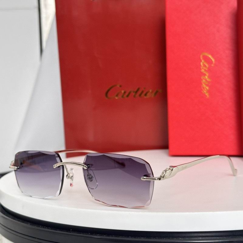 Cartier Glasses 08smh182 (5)