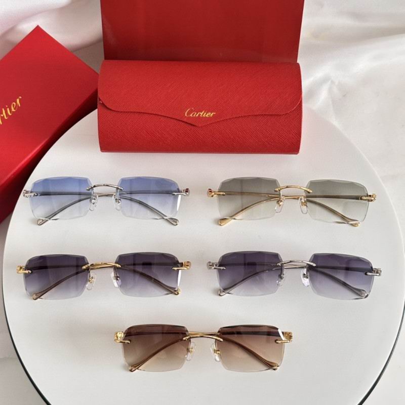 Cartier Glasses 08smh182 (9)