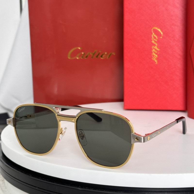 Cartier Glasses 08smh183 (2)