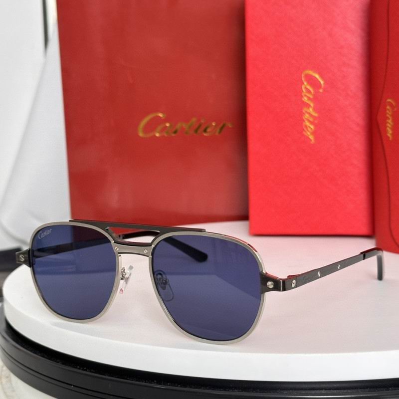 Cartier Glasses 08smh183 (3)