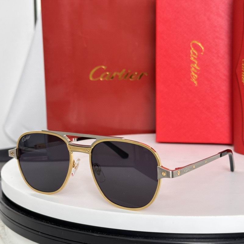 Cartier Glasses 08smh183 (7)