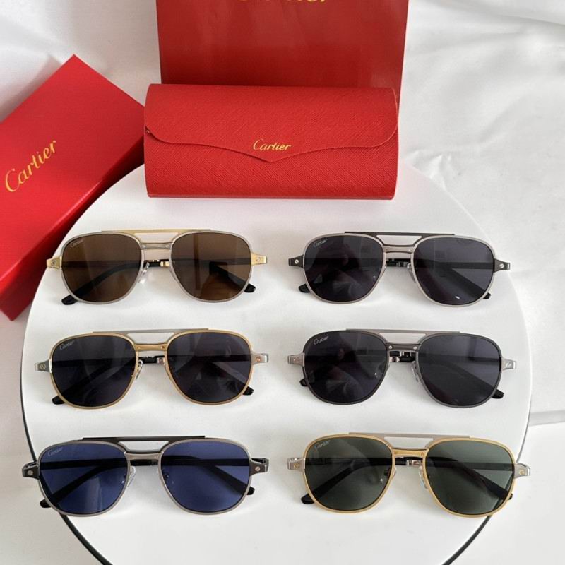 Cartier Glasses 08smh183 (9)