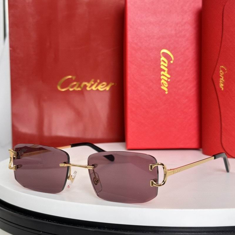 Cartier Glasses 08smh184 (1)