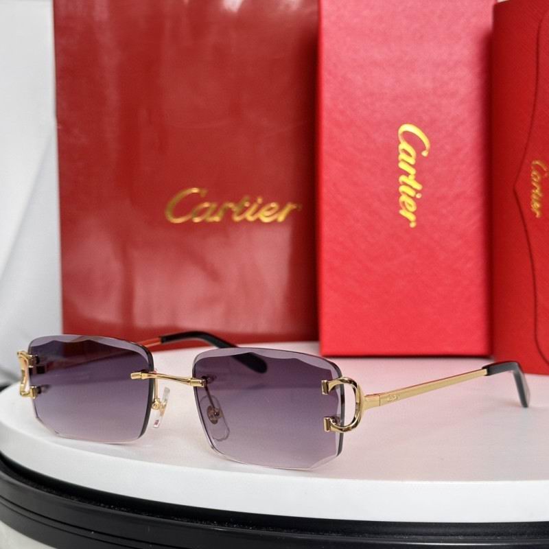 Cartier Glasses 08smh184 (10)