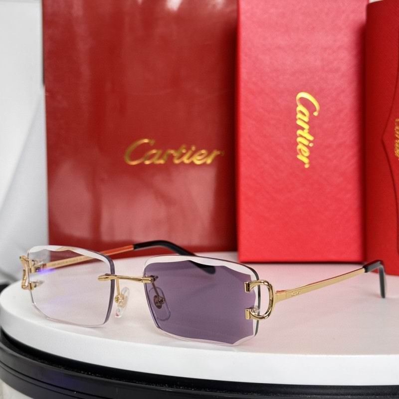 Cartier Glasses 08smh184 (11)