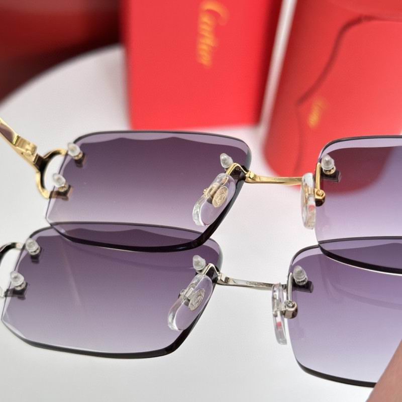 Cartier Glasses 08smh184 (13)