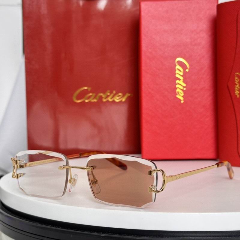 Cartier Glasses 08smh184 (6)