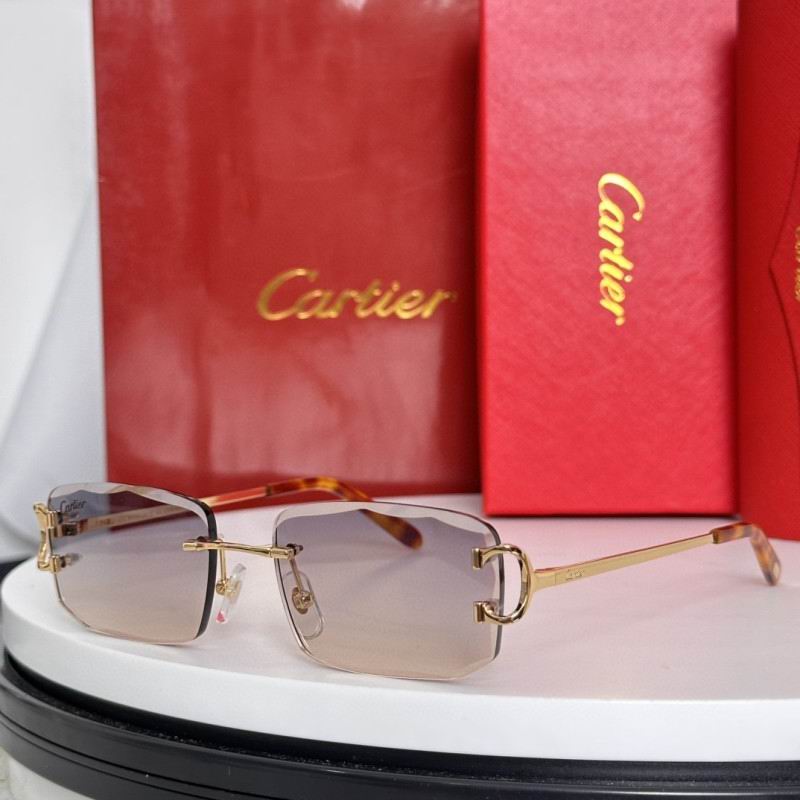 Cartier Glasses 08smh184 (8)