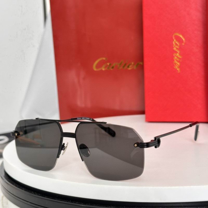 Cartier Glasses 08smh185 (4)