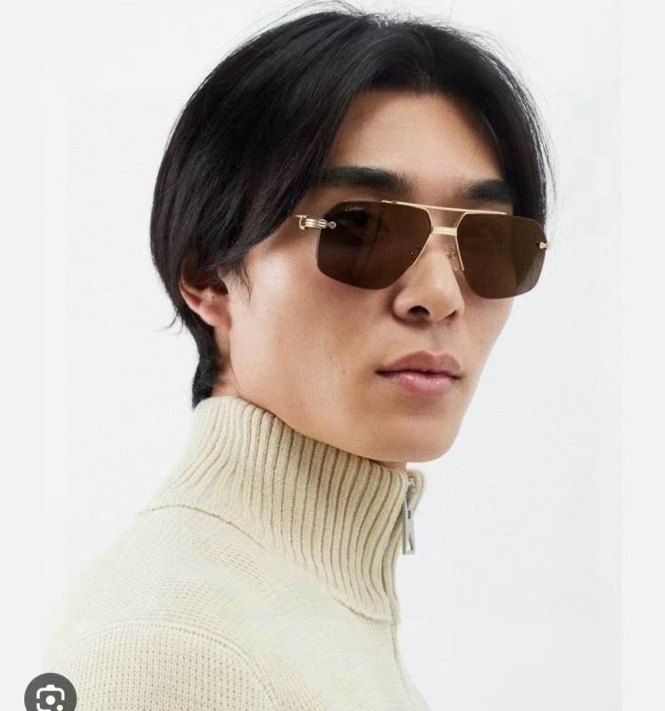 Cartier Glasses 08smh185 (9)