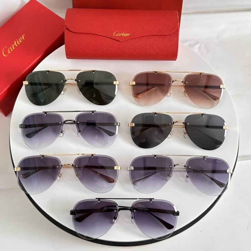 Cartier Glasses 08smh186 (10)