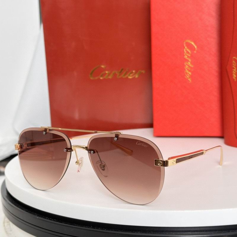 Cartier Glasses 08smh186 (3)