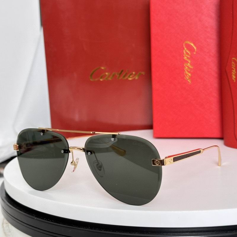 Cartier Glasses 08smh186 (6)