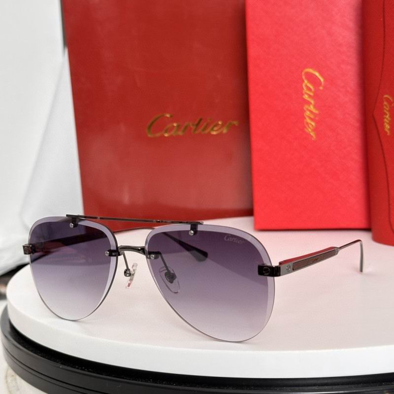 Cartier Glasses 08smh186 (7)