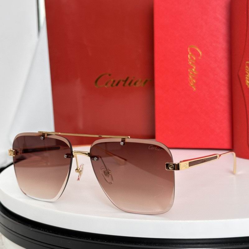 Cartier Glasses 08smh187 (1)