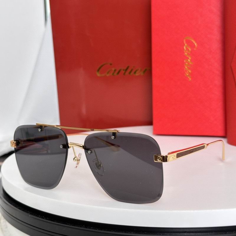 Cartier Glasses 08smh187 (3)